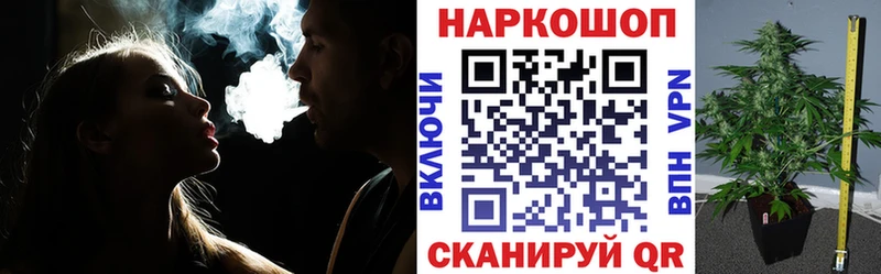 Купить закладку ГАШ Конопля А ПВП Галлюциногенные грибы Меф Кропоткин